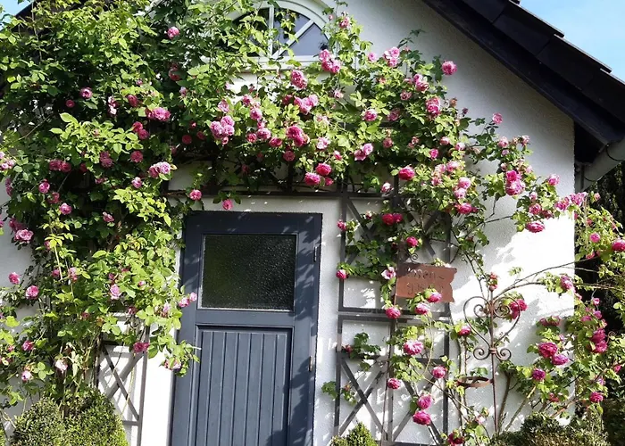 Appartement Tina's *